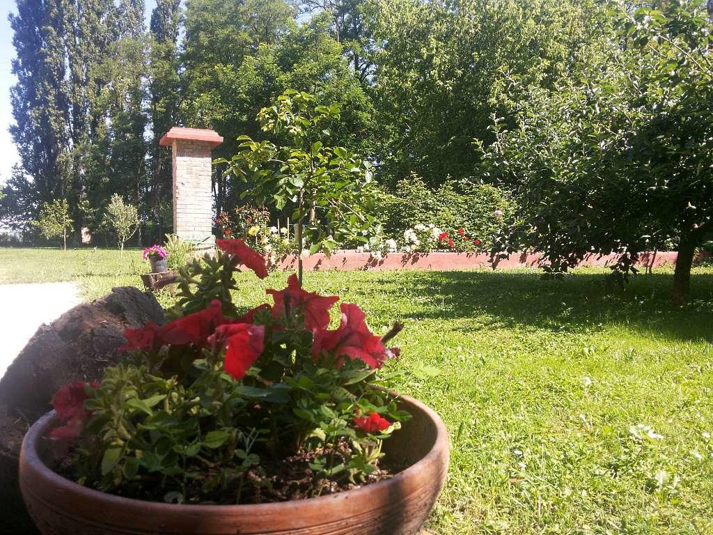 Alloggio Agrituristico Dodici-Apostoli Casumaro Exterior foto